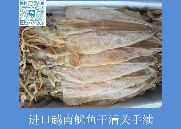 進口越南魷魚干清關手續.jpg